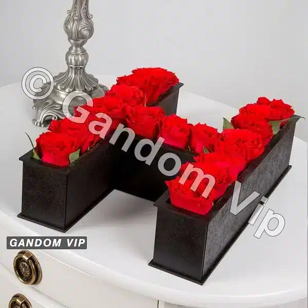 جعبه گل با حرف H