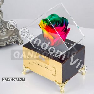رز جاودان هفت رنگ پایه مبلی کد 59
