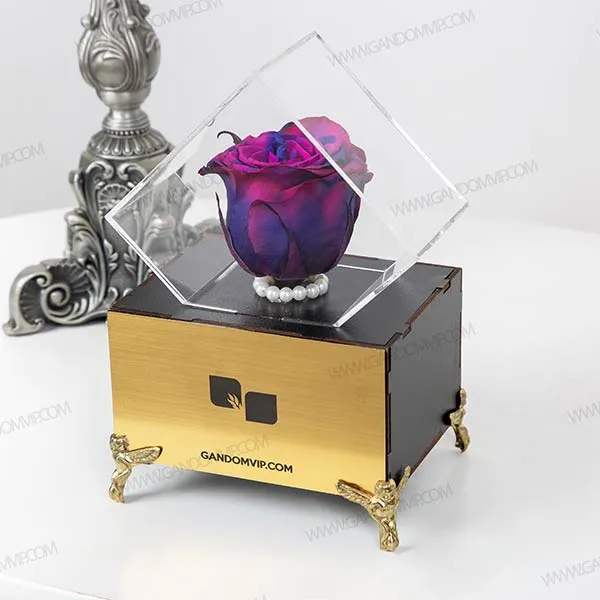 گل رز جاودان دو رنگ کد 72