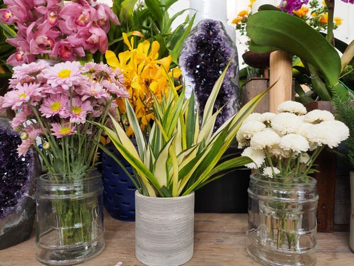 6 ترفند برای افزایش ماندگاری گل ها