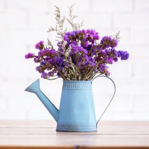 بهترین گل و گیاه برای هر قسمت از خانه