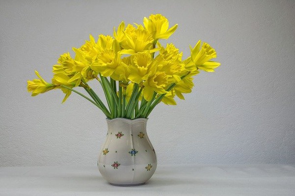گل CROCUS 
