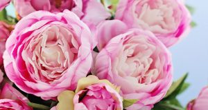 5 گل مشهور برای هدیه روز مادر را بشناسید