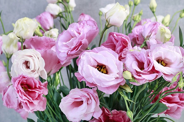 گل لیسیانتوس روز مادر