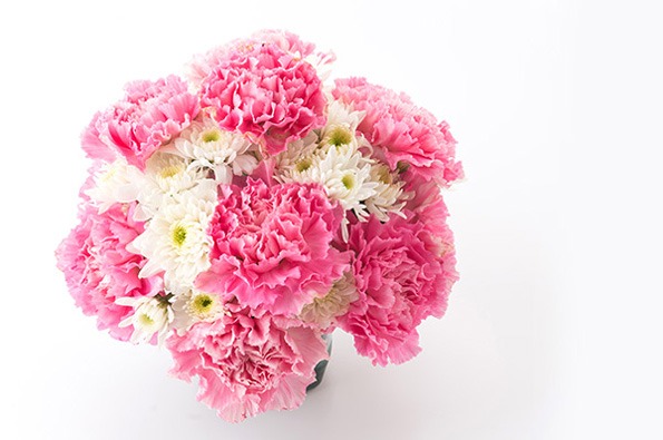 باکس گل میخک