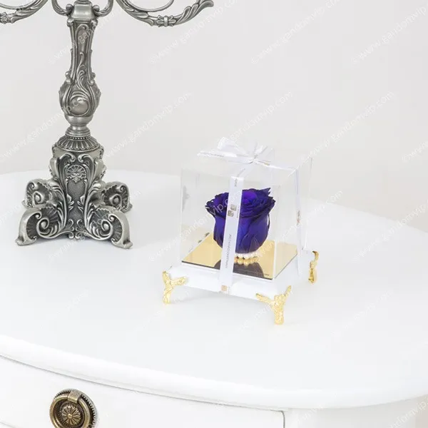 رز جاودان بنفش