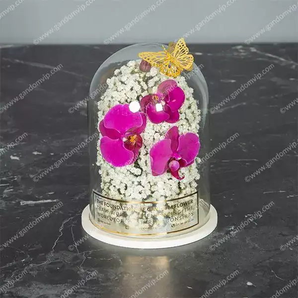 باکس گل حباب شیشه ای