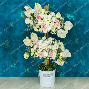 باکس ابری آنتوریوم و رز هلندی