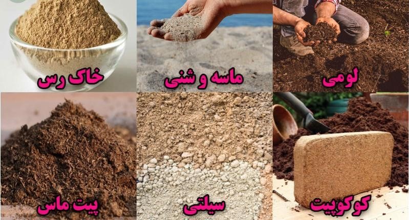 عوض کردن خاک گلدان