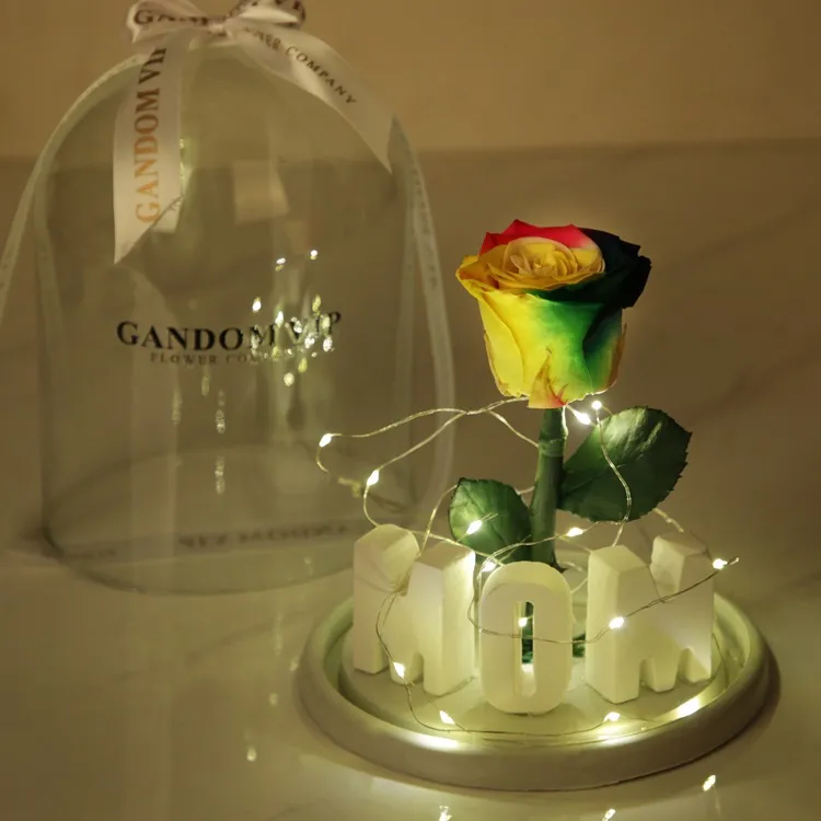 رز جاودان کد 31