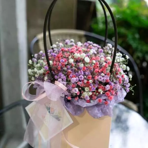 گل ژیپسوفیلا یا گل عروس