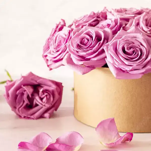 انواع گل رز