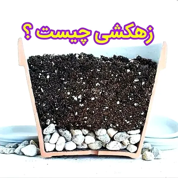 زهکشی
