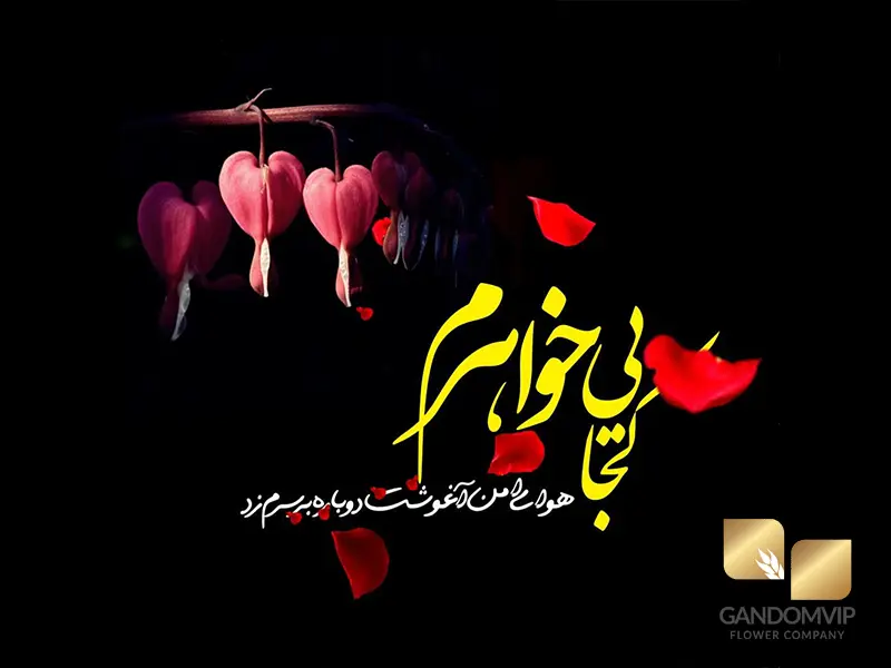 تسلیت خواهر