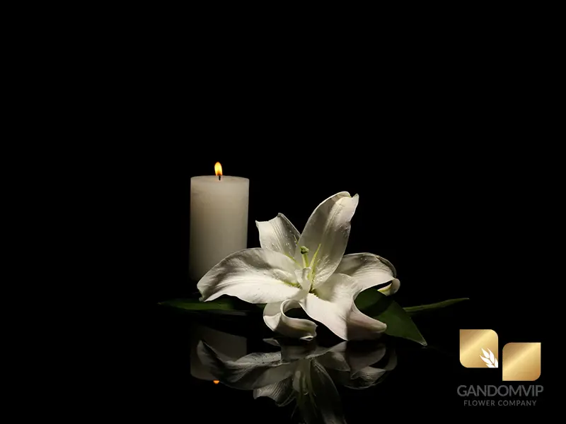 پیام رسمی تسلیت