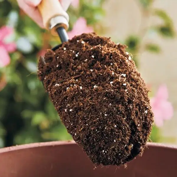 خاک گلدان برای گیاهان آپارتمانی