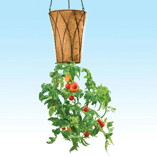 ساخت گلدان وارونه با بطری