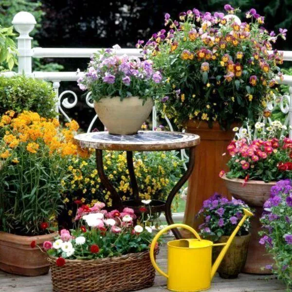 راهنمای مبتدیان برای باغبانی کانتینری