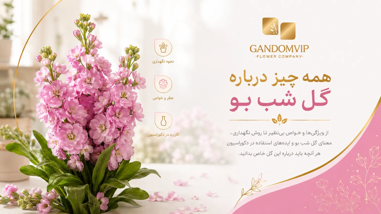 همه چیز درباره گل شب بو: 0 تا 100 انواع و مراحل نگهداری