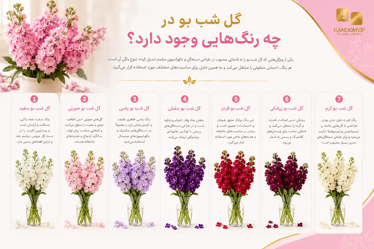 گل شب بو در چه تنوع رنگی است؟