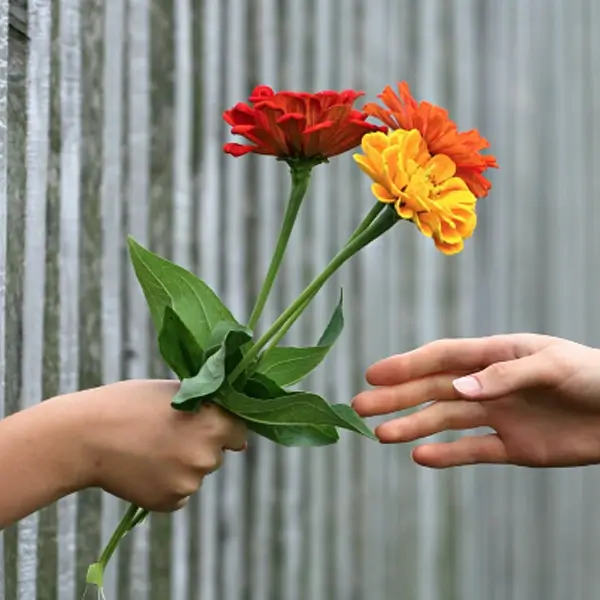 چرا گل هدیه دهیم