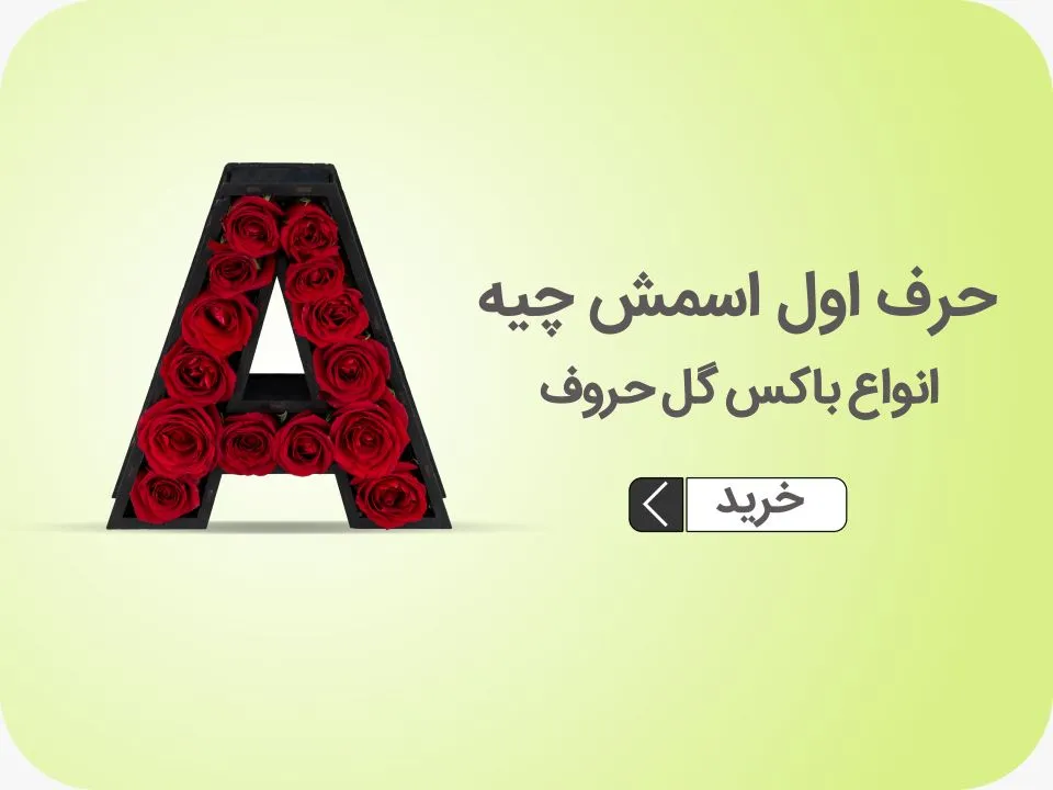 خرید باکس حروف