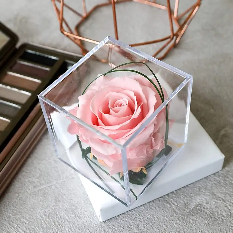 علت خشک شدن گل رز جاودان