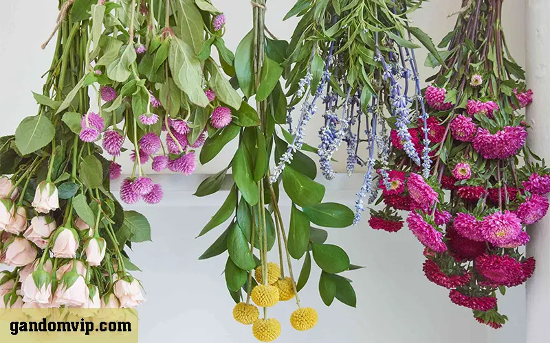 آویزان کردن گل ها