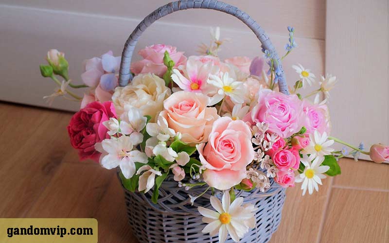 باکس گل و سبد گل طبیعی