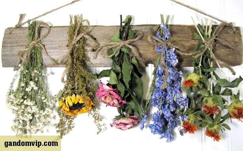 خشک كردن گل طبيعی