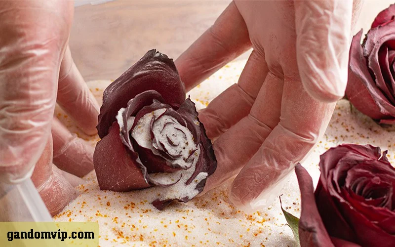 خشک کردن گل در شن یا ماسه