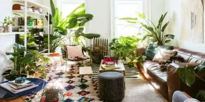 انواع گل آپارتمانی