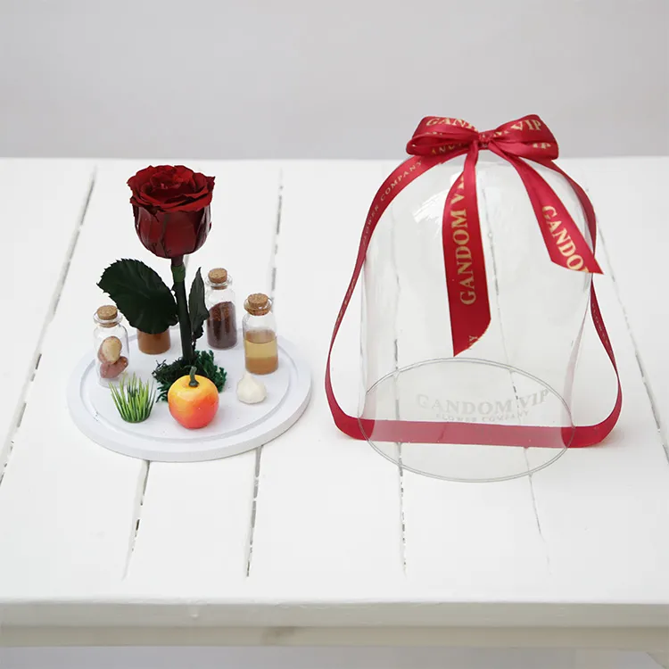 گل رز جاودان کد 68