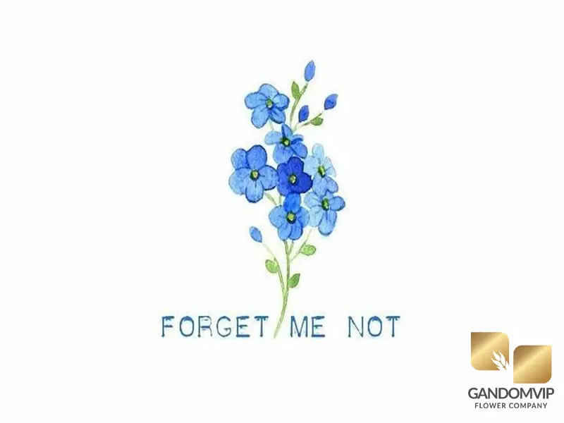 dont forget me