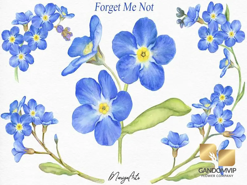 داستان حضرت مریم و گل از یادم نبر