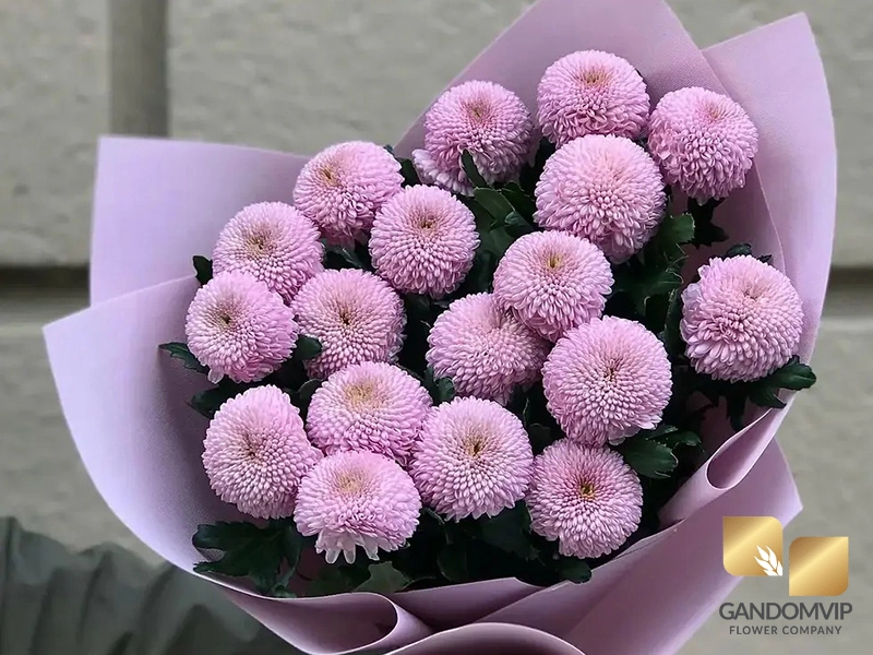 دسته گل داوودی