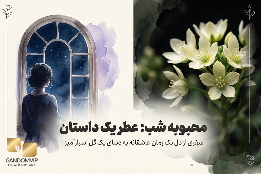 داستان محبوبه‌ شب و بامداد خمار