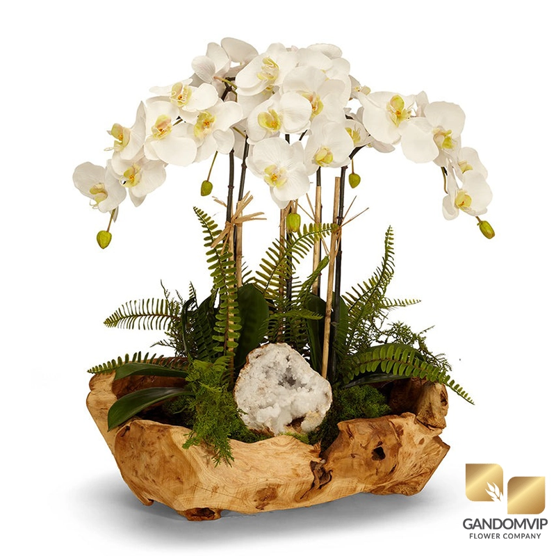 گل ارکیده هدیه لوکس برای روز مادر