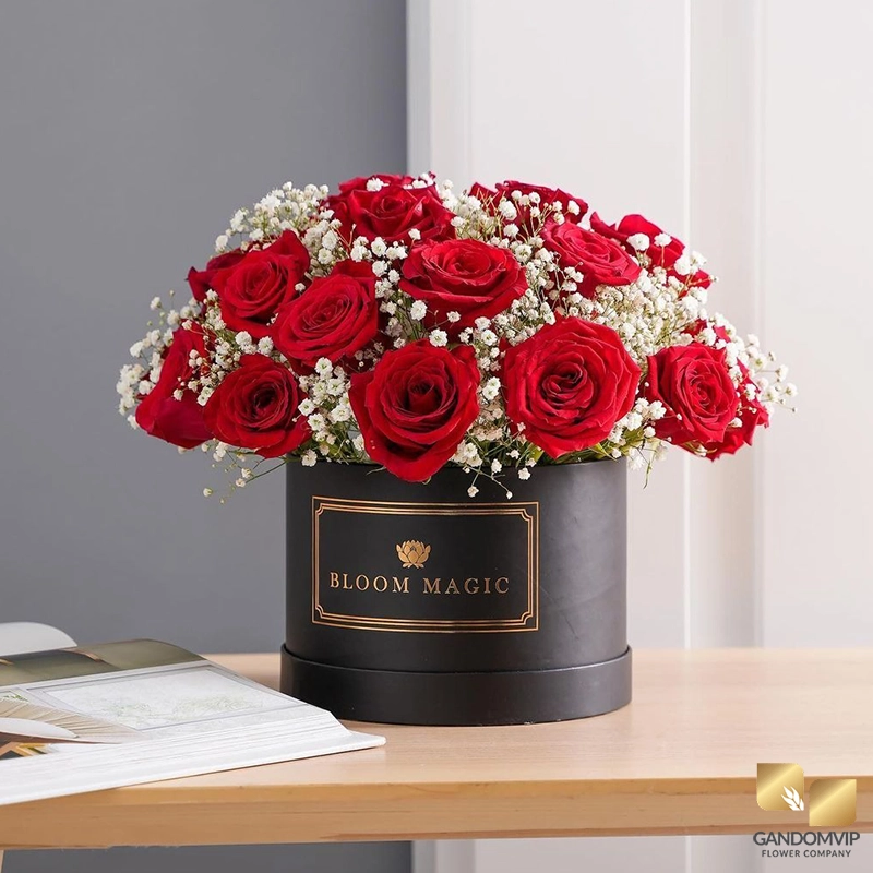 بهترین گل رز برای هدیه روز زن